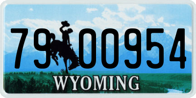 WY license plate 7900954