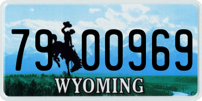 WY license plate 7900969