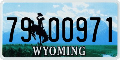 WY license plate 7900971