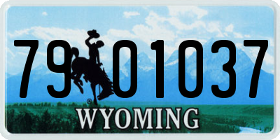 WY license plate 7901037