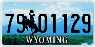WY license plate 7901129