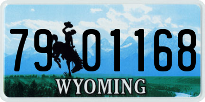 WY license plate 7901168