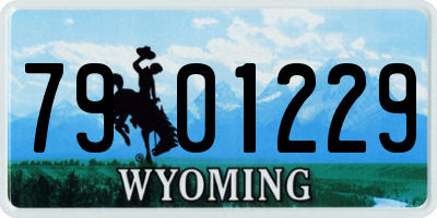 WY license plate 7901229