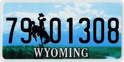 WY license plate 7901308