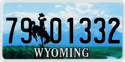 WY license plate 7901332