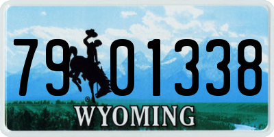 WY license plate 7901338