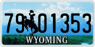 WY license plate 7901353