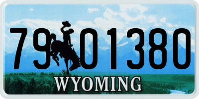 WY license plate 7901380