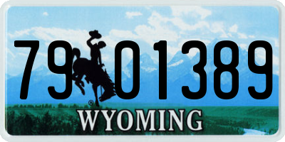 WY license plate 7901389
