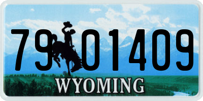WY license plate 7901409