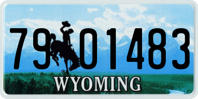 WY license plate 7901483