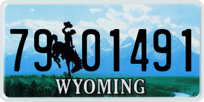 WY license plate 7901491