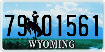 WY license plate 7901561