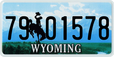 WY license plate 7901578