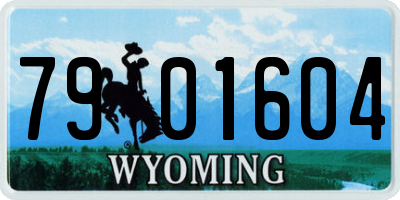 WY license plate 7901604