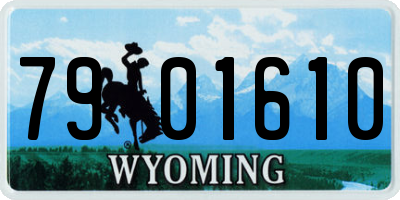 WY license plate 7901610
