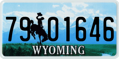 WY license plate 7901646