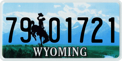 WY license plate 7901721
