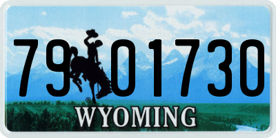 WY license plate 7901730