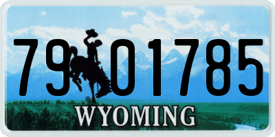 WY license plate 7901785
