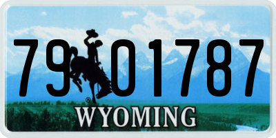 WY license plate 7901787