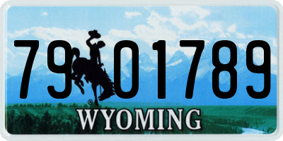WY license plate 7901789