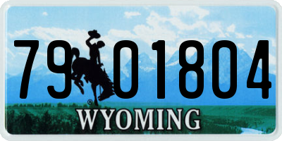 WY license plate 7901804