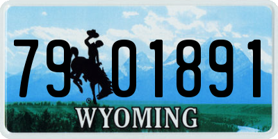 WY license plate 7901891