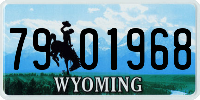 WY license plate 7901968