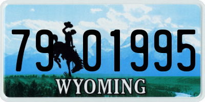 WY license plate 7901995