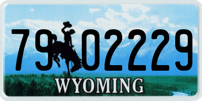 WY license plate 7902229