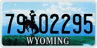WY license plate 7902295