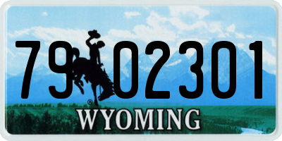 WY license plate 7902301