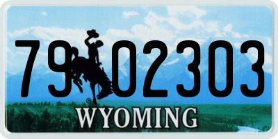 WY license plate 7902303