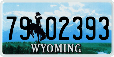 WY license plate 7902393