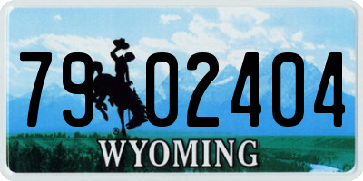 WY license plate 7902404