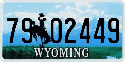 WY license plate 7902449