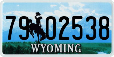 WY license plate 7902538