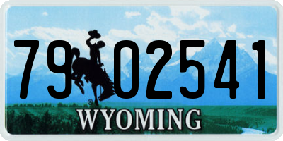 WY license plate 7902541