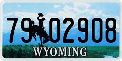 WY license plate 7902908