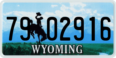 WY license plate 7902916