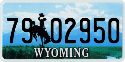 WY license plate 7902950