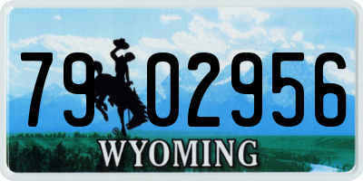 WY license plate 7902956