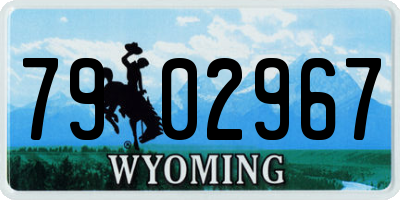 WY license plate 7902967