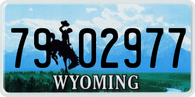 WY license plate 7902977