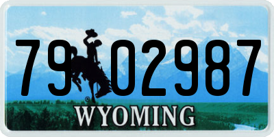 WY license plate 7902987
