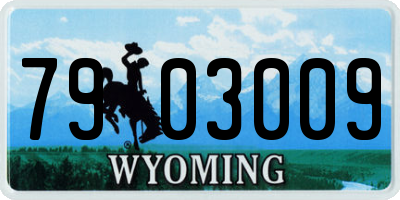 WY license plate 7903009