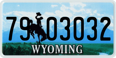 WY license plate 7903032