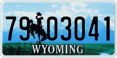 WY license plate 7903041