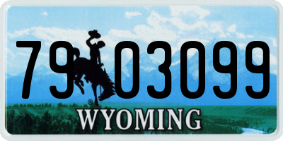 WY license plate 7903099